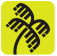Tempest Logo