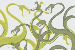 HydraPOS — Operação de fraudadores brasileiros acumulou, pelo menos, 1.4 milhões de dados de cartões