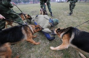 Um terço da Internet esteve sob ataque DoS, afirma estudo